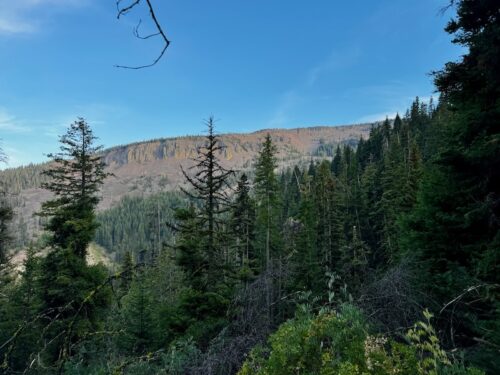 View of Bowl 4 ridgeline from Lake Clara Trail
