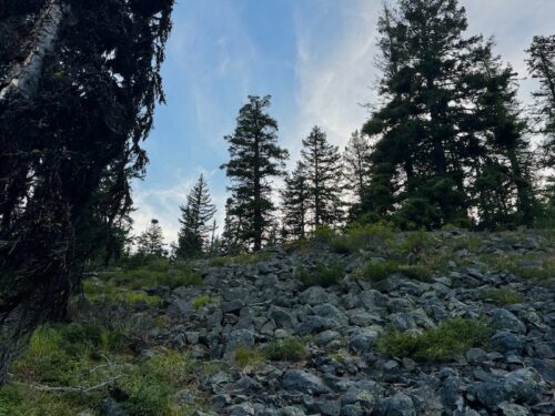 Looking upslope across scree en route to Lake Clara